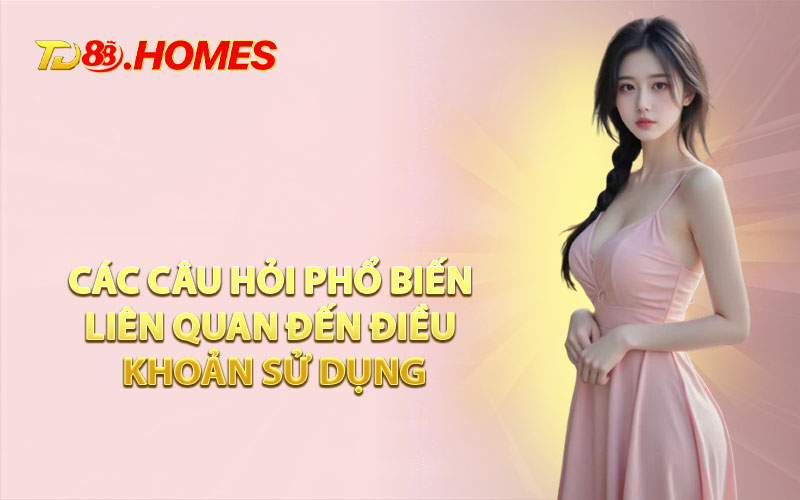 Các Câu Hỏi Phổ Biến Liên Quan Đến Điều Khoản Sử Dụng