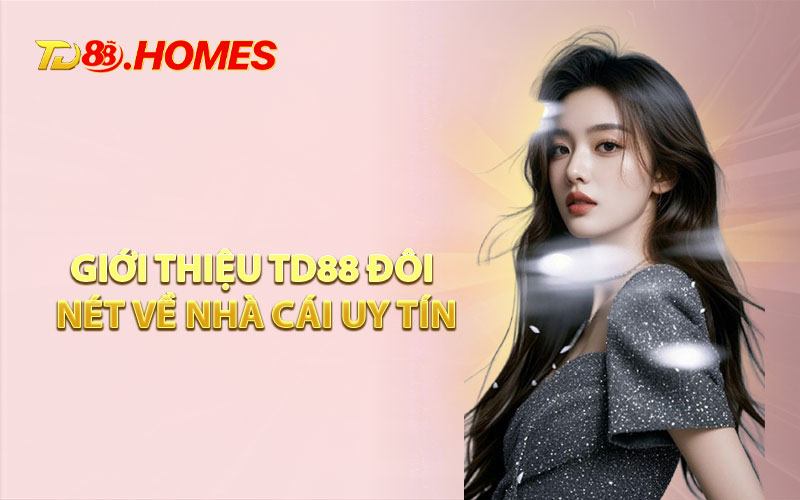 Giới Thiệu TD88 Đôi Nét Về Nhà Cái Uy Tín