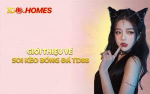 Giới Thiệu Về Soi Kèo Bóng Đá TD88