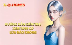 Hướng Dẫn Kiểm Tra Xem TD88 Có Lừa Đảo Không