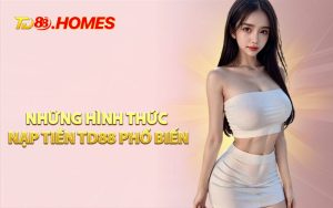 Những Hình Thức Nạp Tiền TD88 Phổ Biến