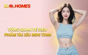 Tổng Quan Về Siêu Phẩm Tài Xỉu MD5 TD88